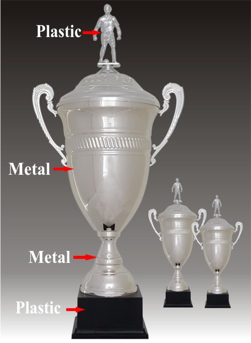 Big silver Trophy