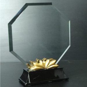 Optical Crystal Trophy