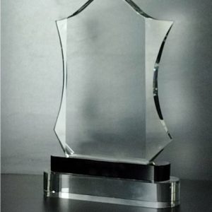 Acrylic Crystal Awards
