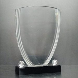 Curved Crystal Trophy