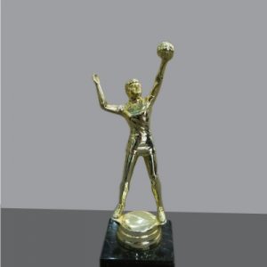 Figured Trophy Award